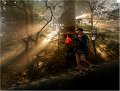 497 - light for farmer - CHEN Shuisong - china